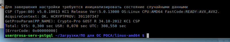 Файл:Выход в терминал после генерации.png