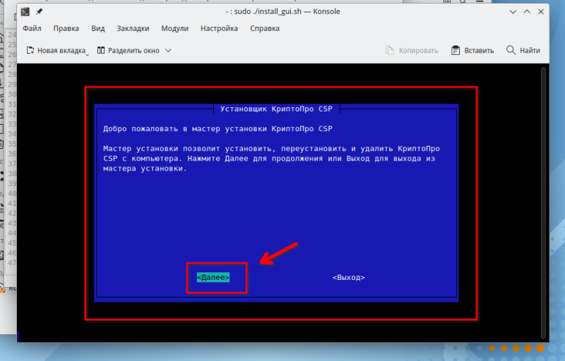 Файл:Запуск псевдографики установки криптопро.png